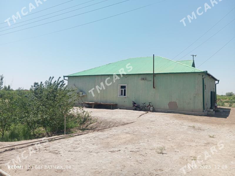 Satlyk jaý - Boldumsaz - img 2