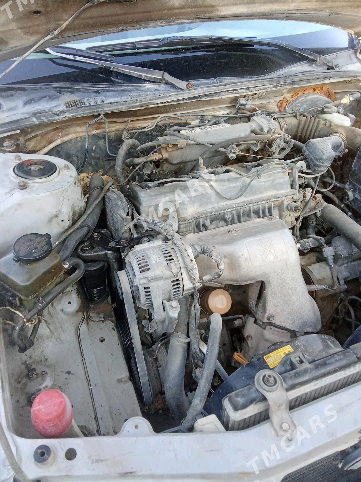 Toyota Camry 1995 - 40 000 TMT - Kerki - img 6