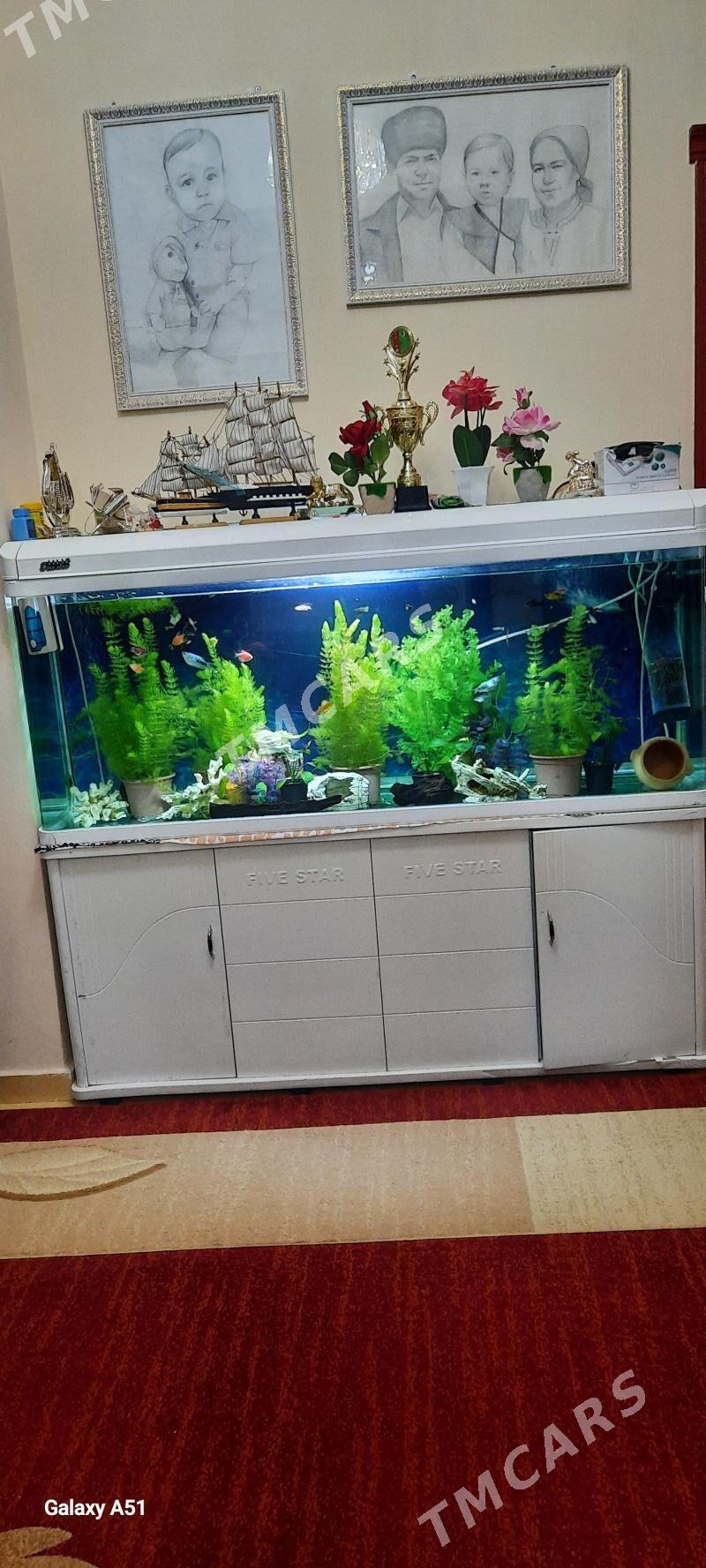akwaryum zawadiskoy 380 Lt - Köşi - img 3