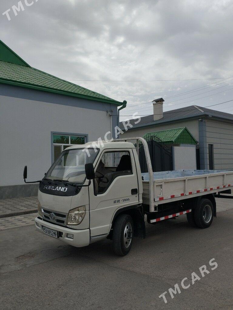 Forland H3 2010 - 75 000 TMT - Mary - img 2
