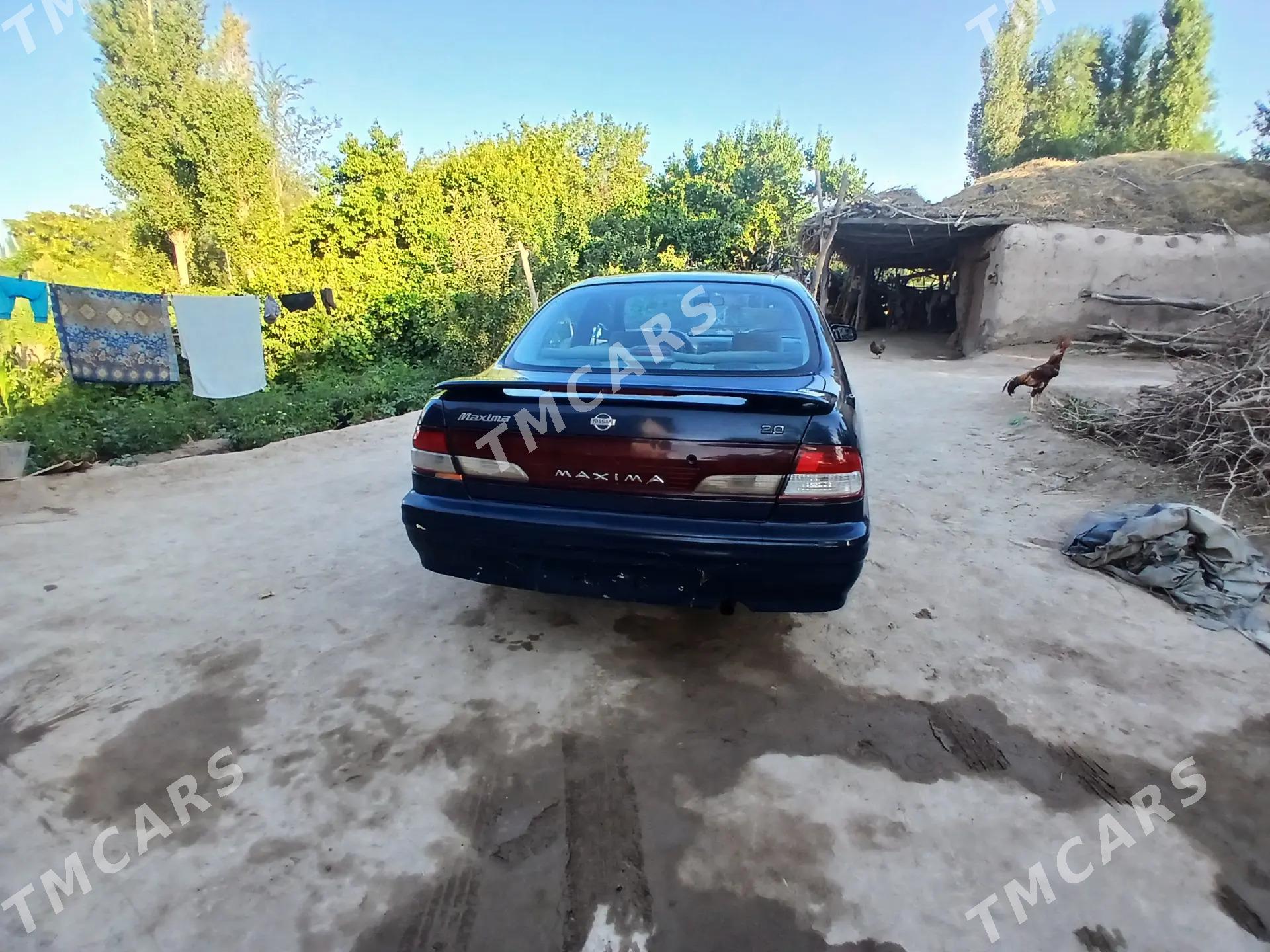 Nissan Maxima 1998 - 23 000 TMT - Gurbansoltan Eje - img 3