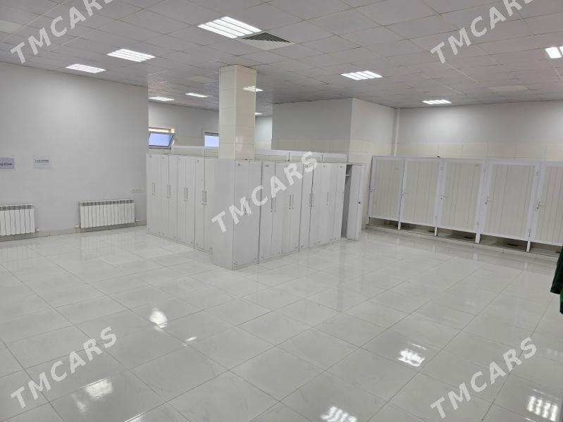 Ýyladyşhana işgär alýas - Kaka - img 10