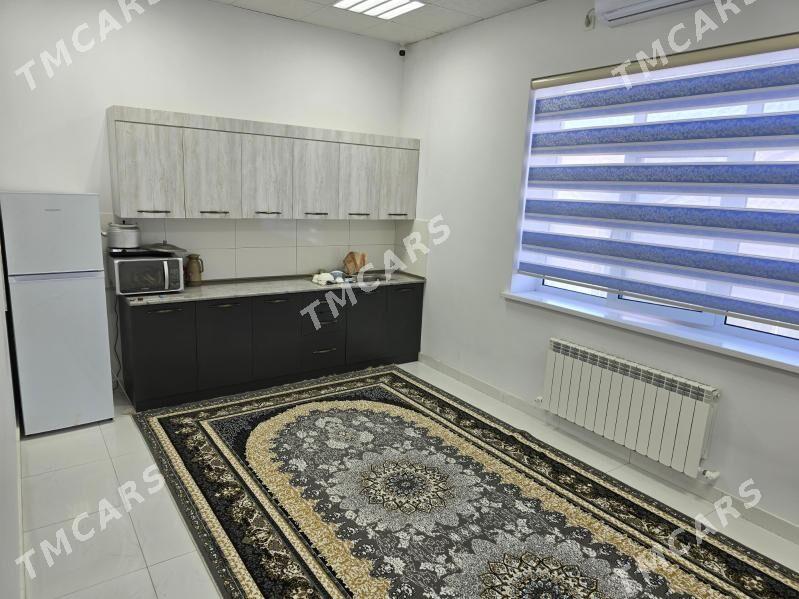 Ýyladyşhana işgär alýas - Kaka - img 6