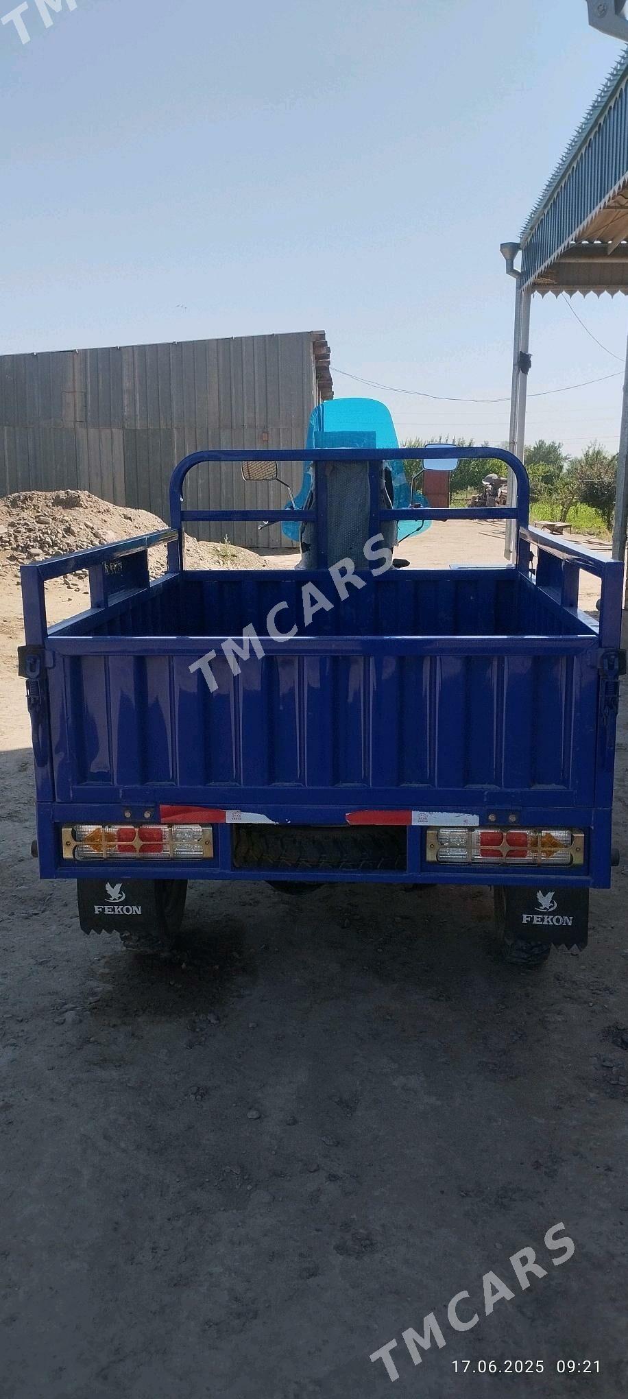 Fekon FK200-14G 2025 - 28 000 TMT - Sakarçäge - img 4