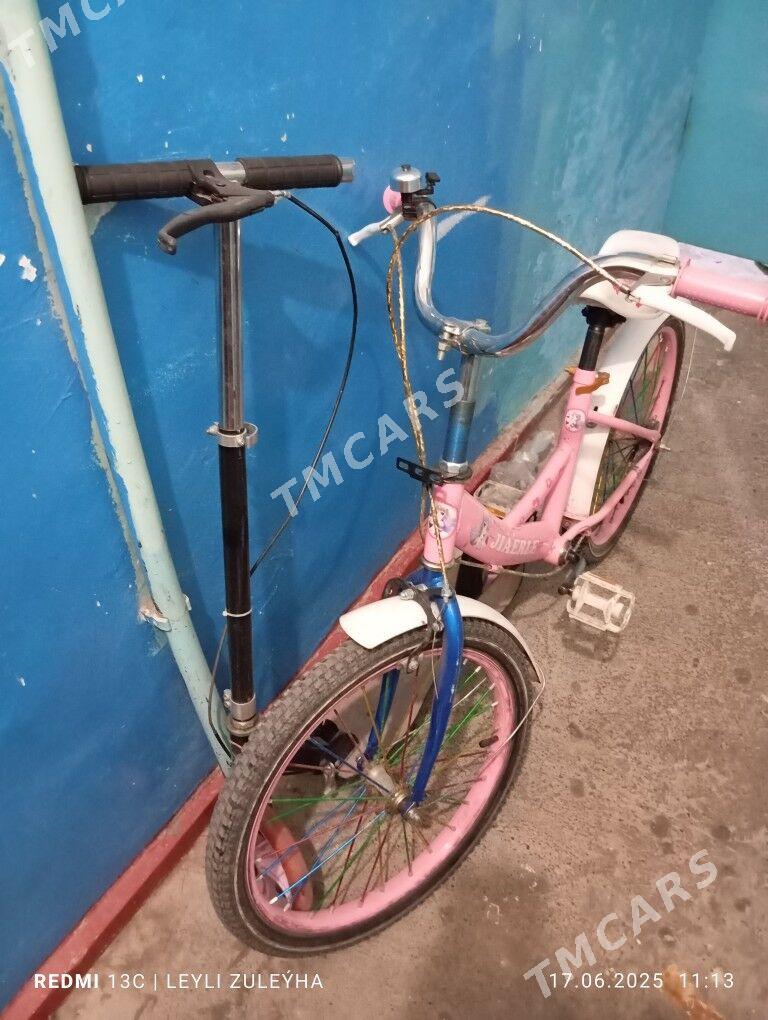Tigir we smakart - Гаудан "А" - img 2