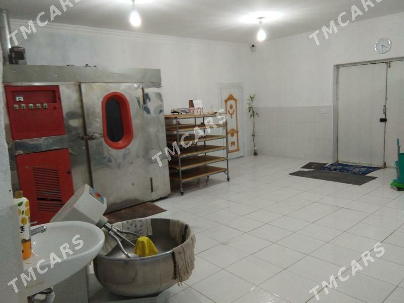 zawod suhari trikoriçka - Aşgabat - img 3