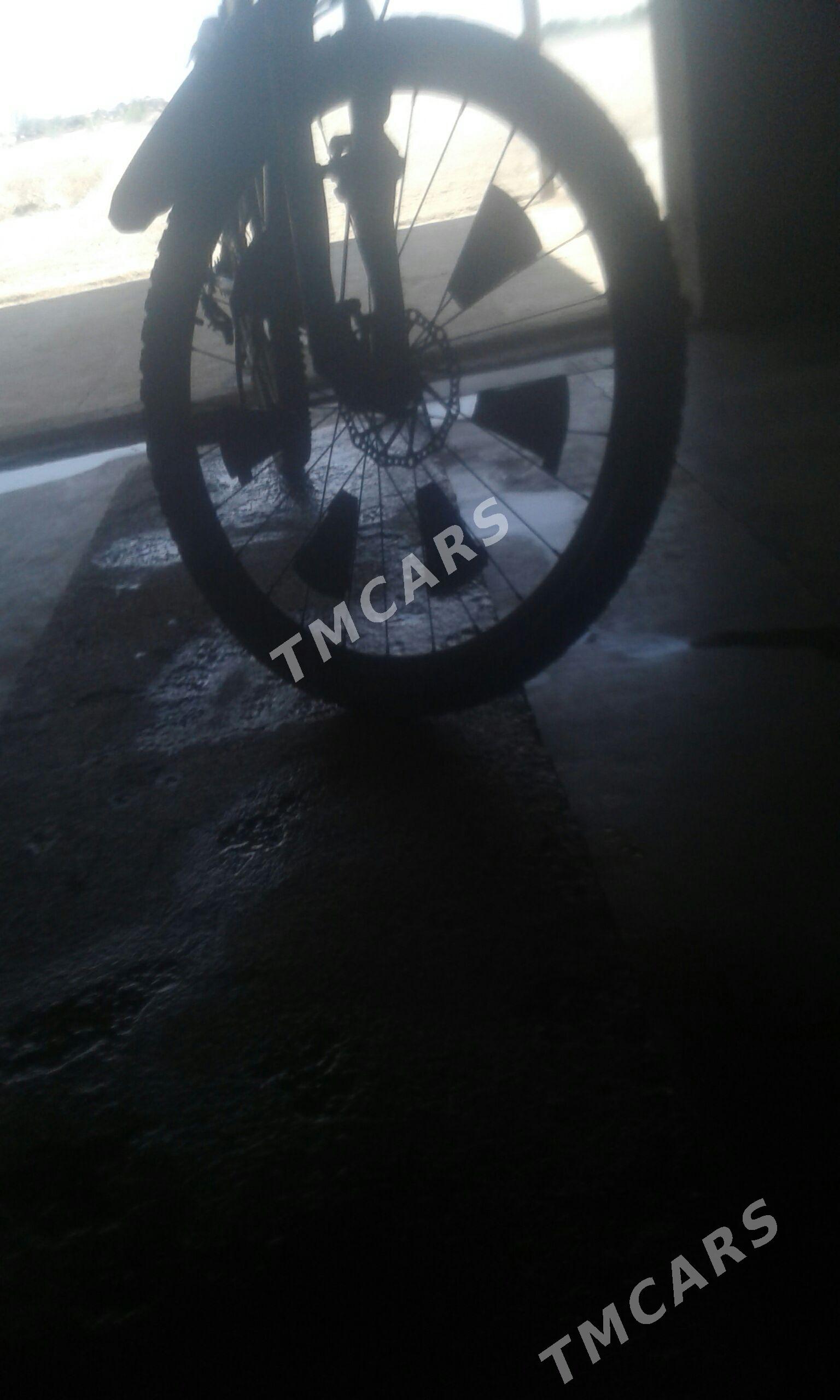 welik - Murgap - img 3