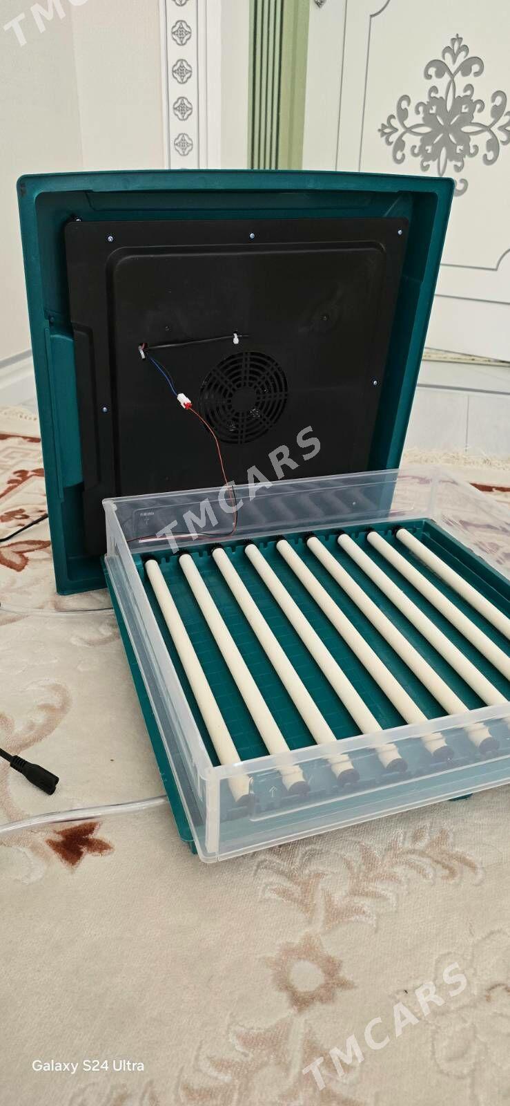 Inkubator - Aşgabat - img 2