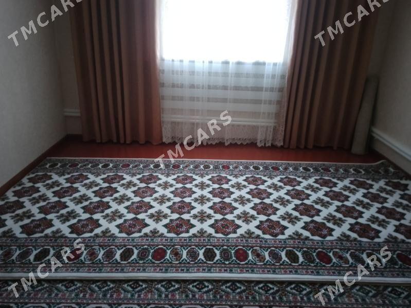 haly 2 , 4 lik - Köneürgenç - img 2