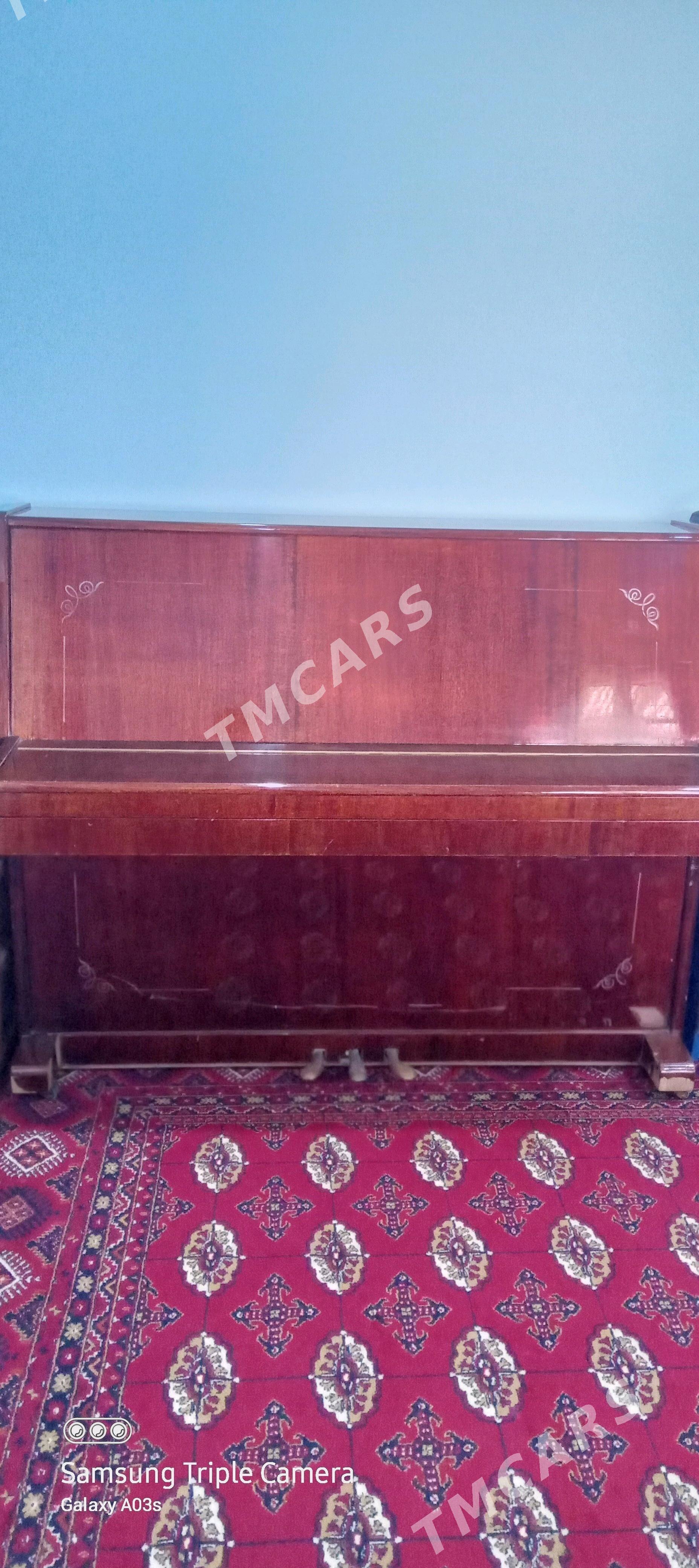 Pianina - Garadamak Şor - img 2