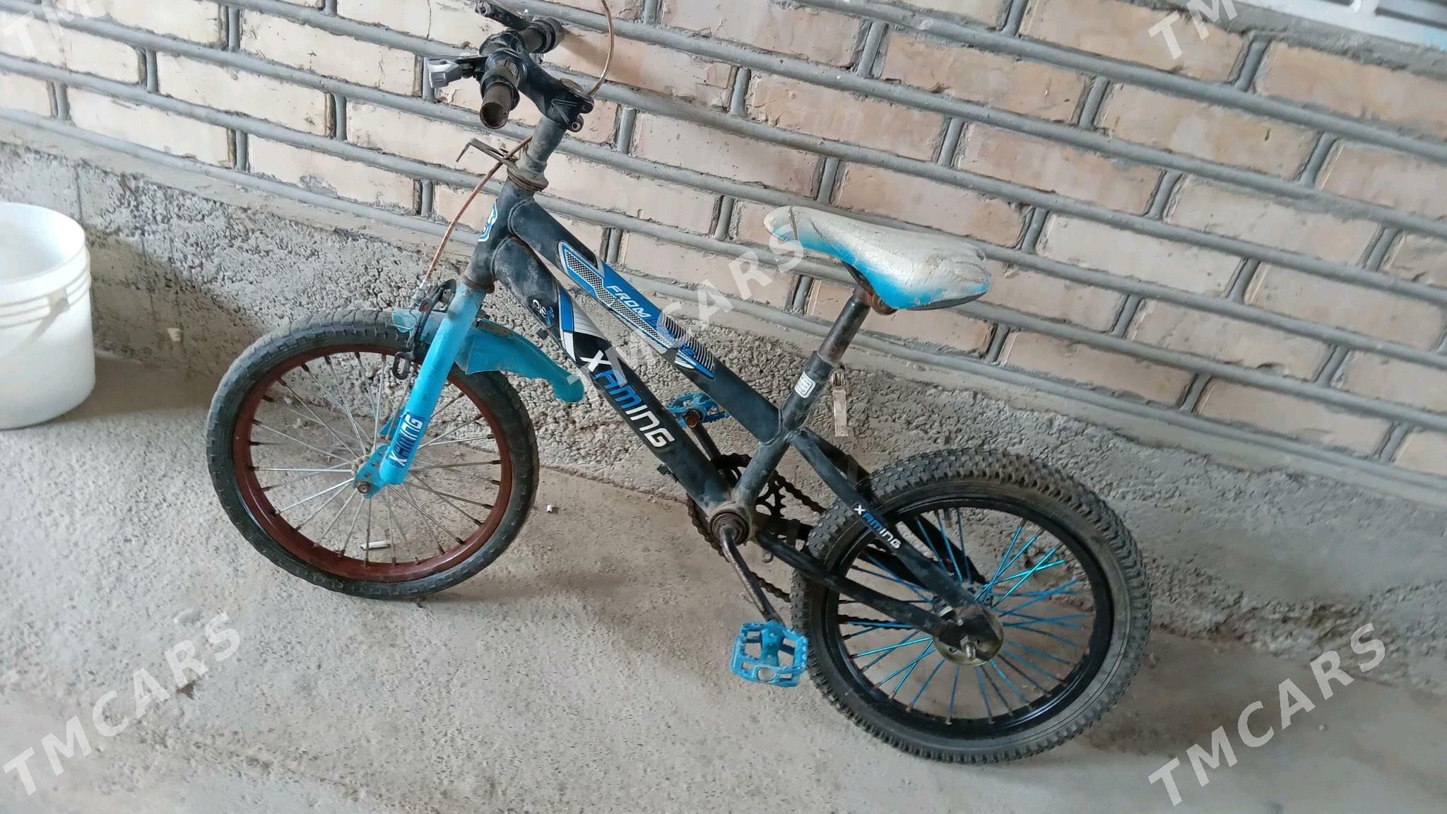 Tigir - Änew - img 2