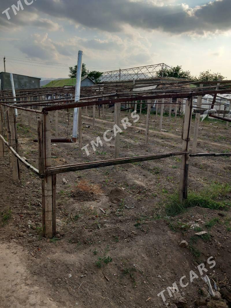parnyk - Бузмеин - img 2