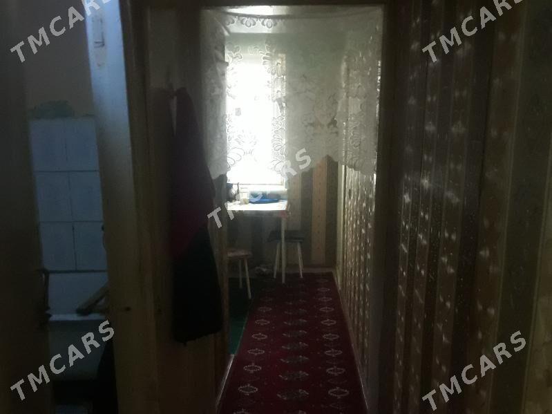 satlyk jay - Seýdi - img 2