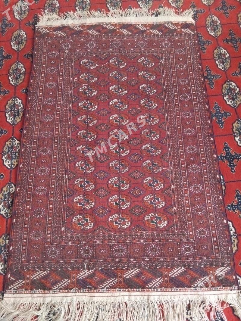 El haly - Büzmeýin - img 2