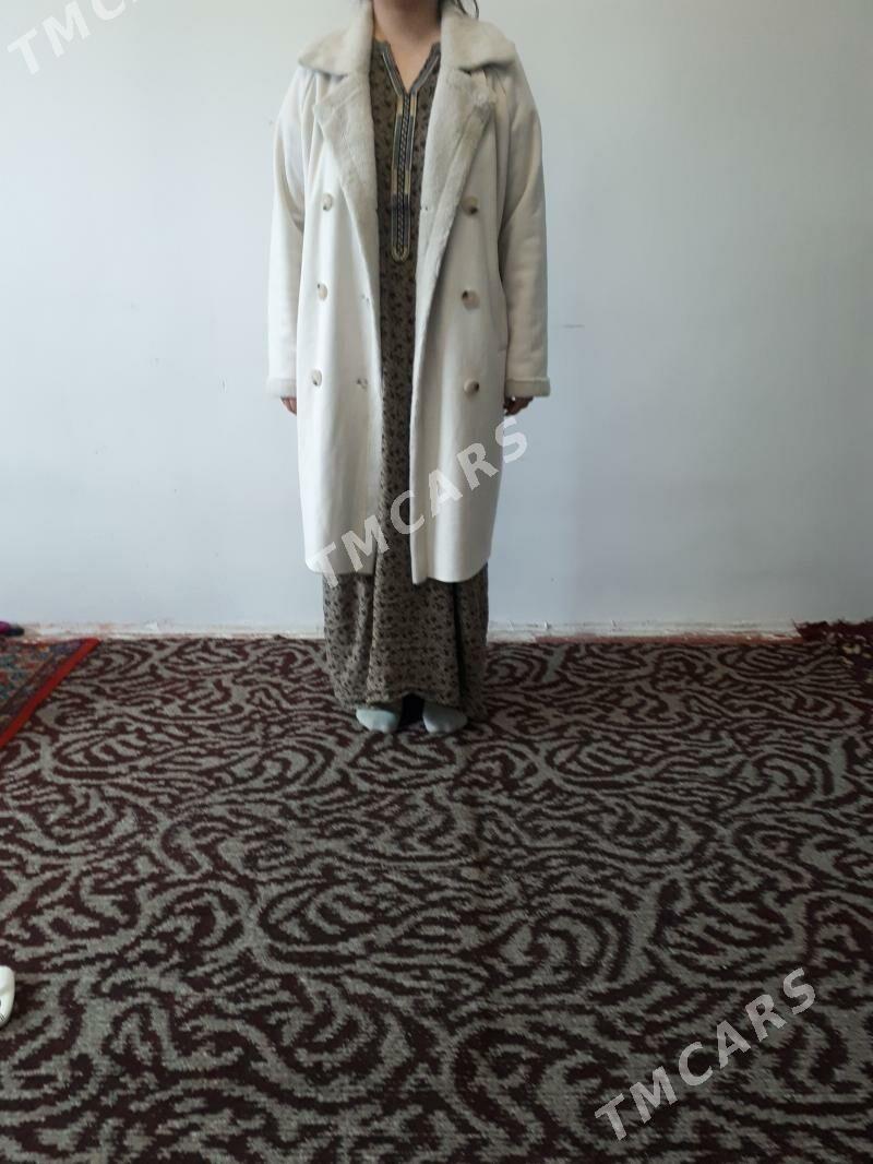 Polto Zolla - Aşgabat - img 2