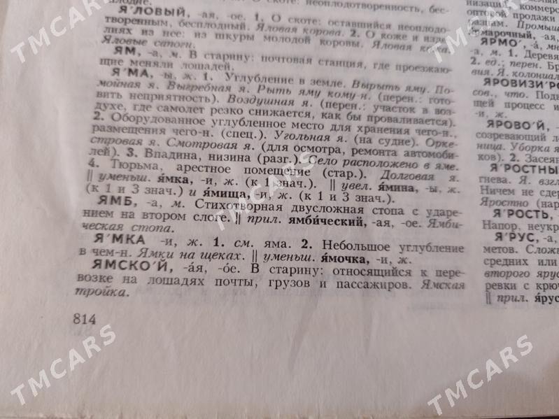 Словарь Русского языка - Гаудан "А" - img 3