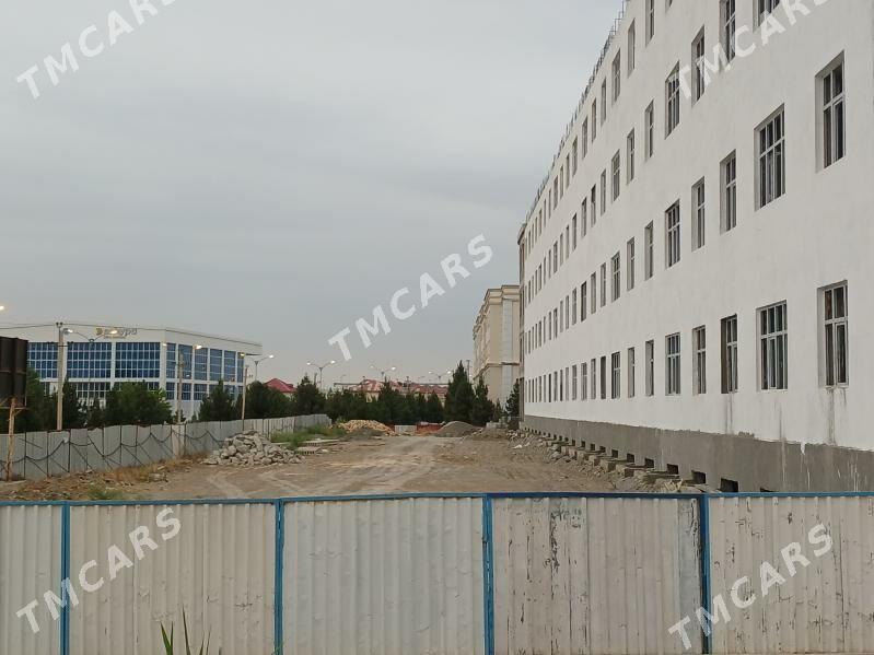 anew polelitka - Анев - img 3