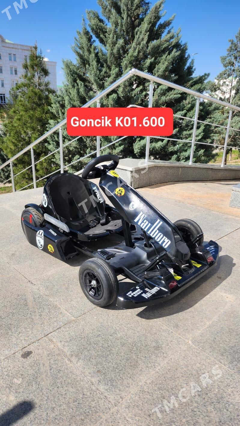 TIGIR BASEYKA SAMAKAT MATOR - Köşi - img 9