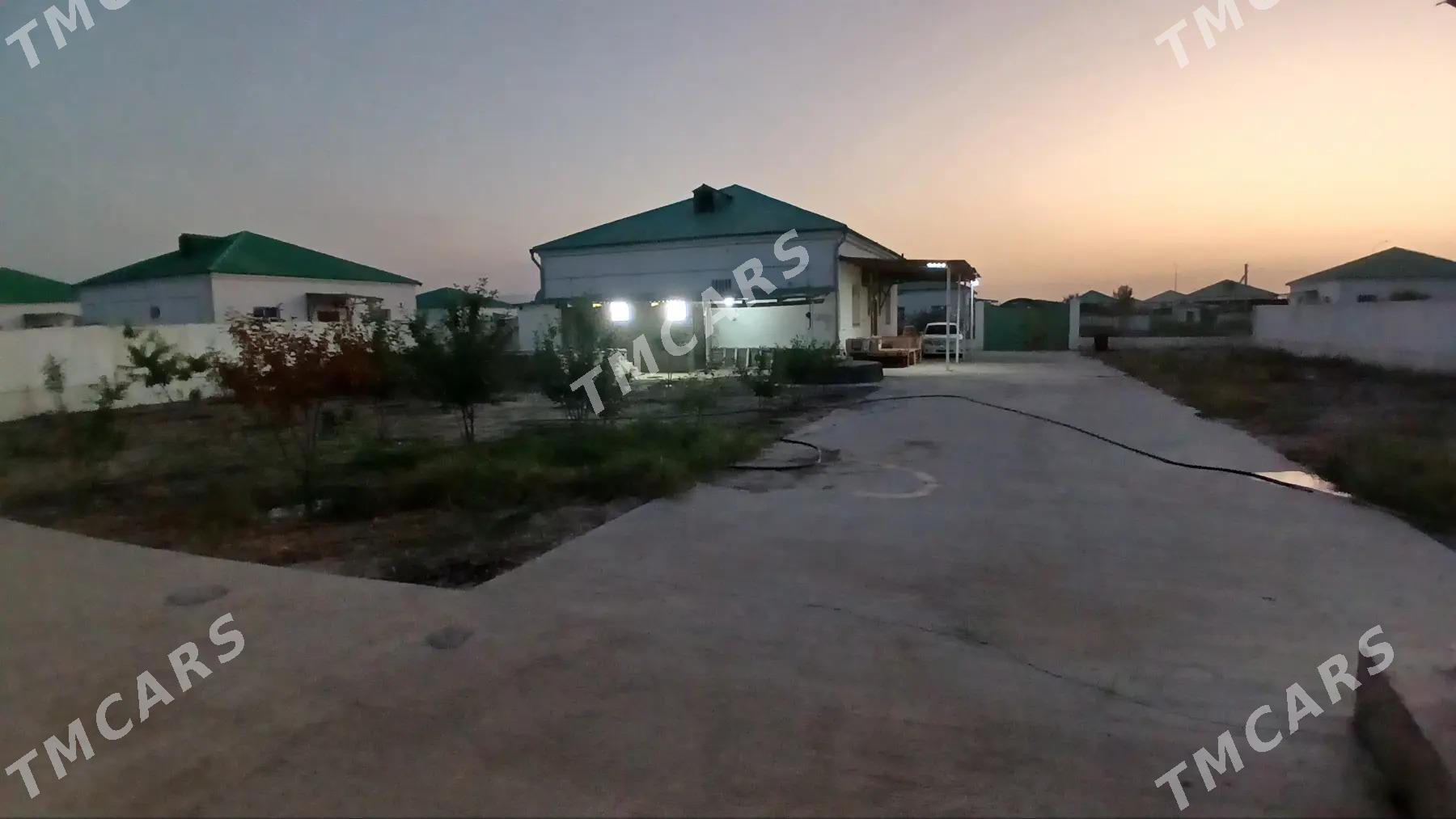 Gökdepe, Taze Eyyam - Gökdepe - img 3