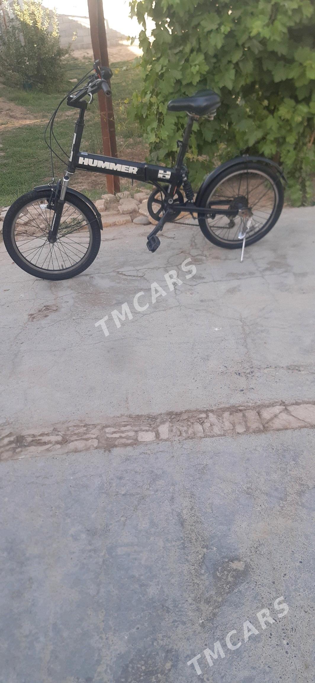 kama - Murgap - img 2