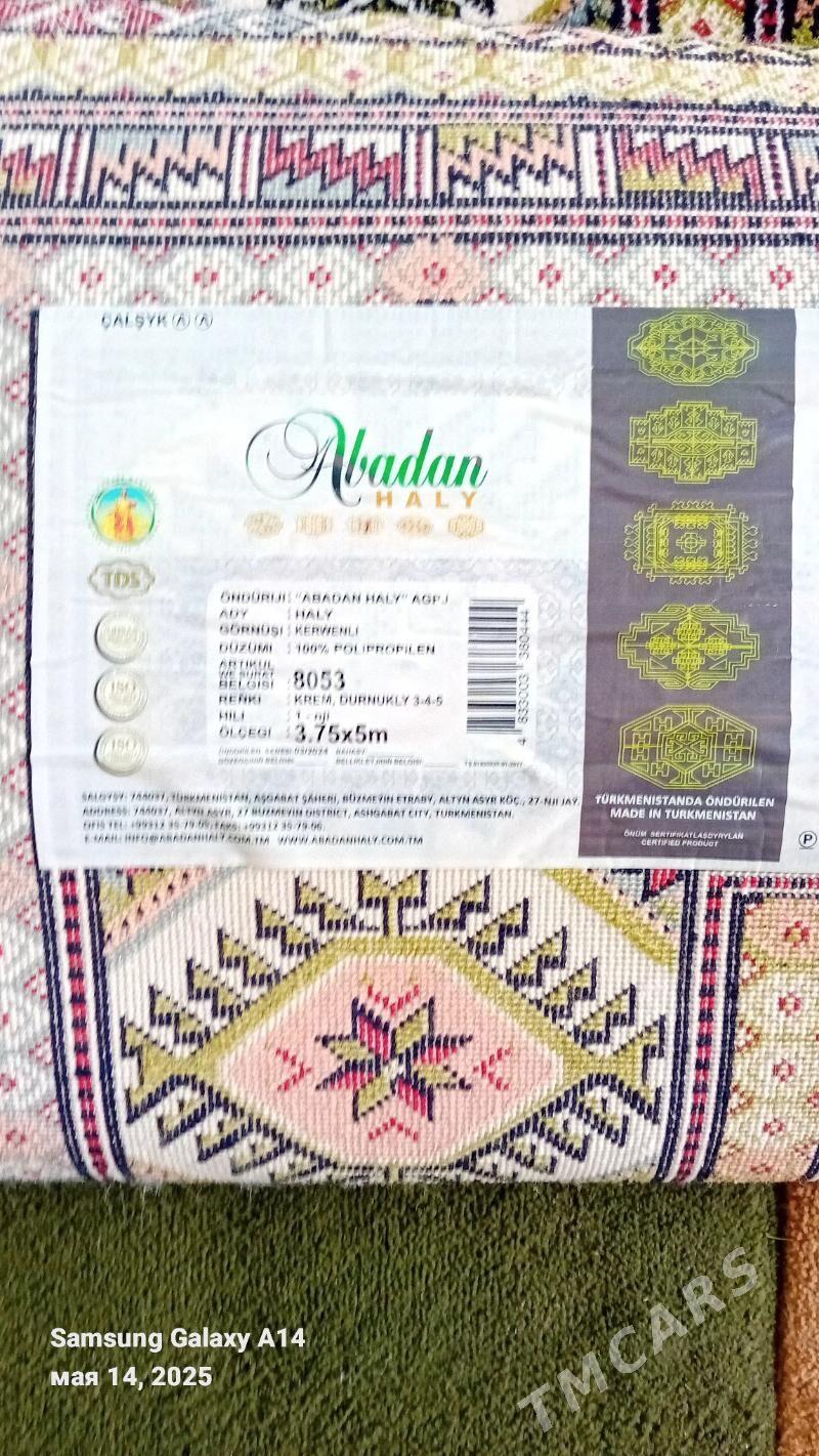 Abadan haly - Аркадаг - img 2