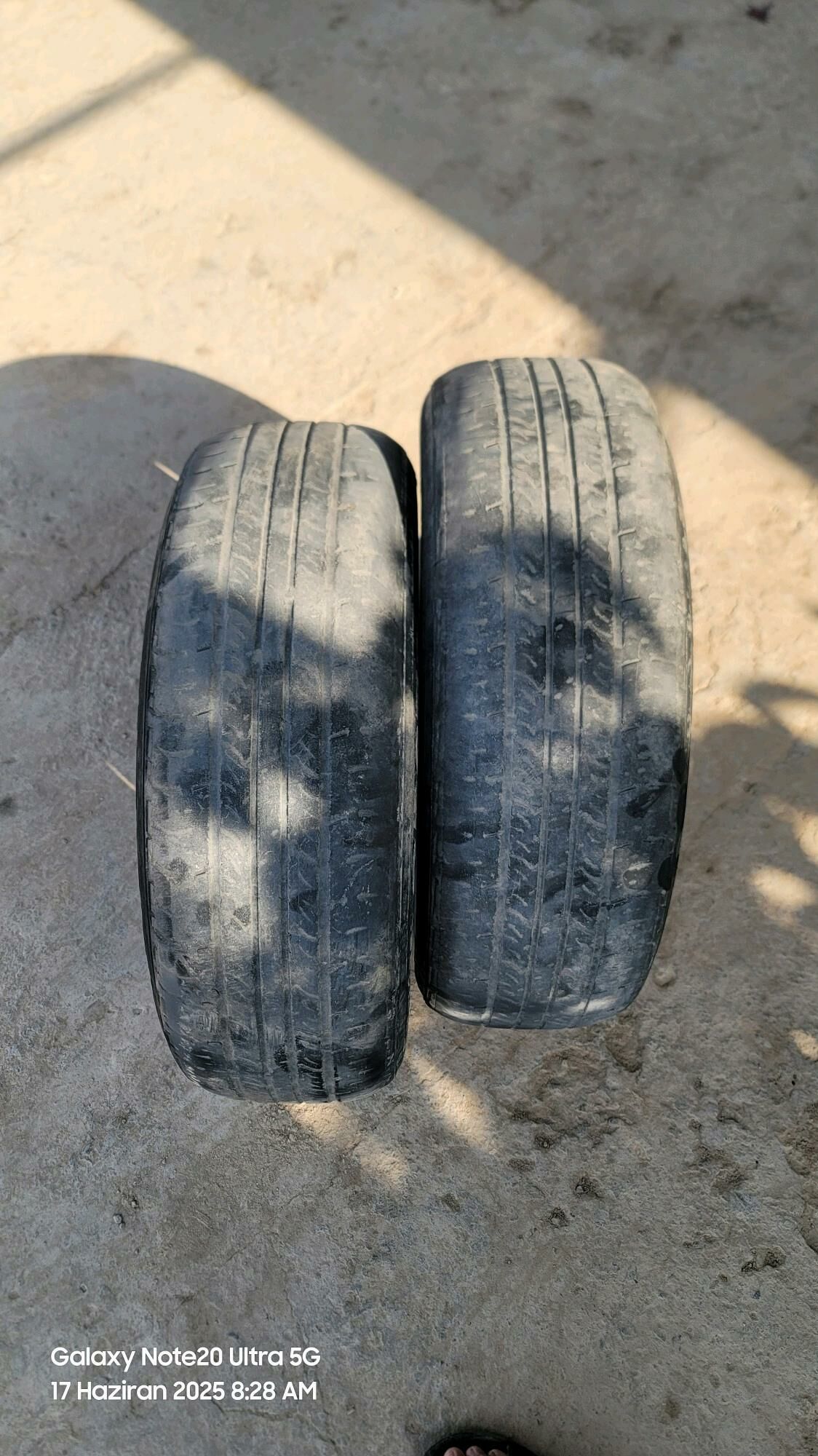 15r 195.65 r15 111 TMT - Gurbansoltan Eje - img 2