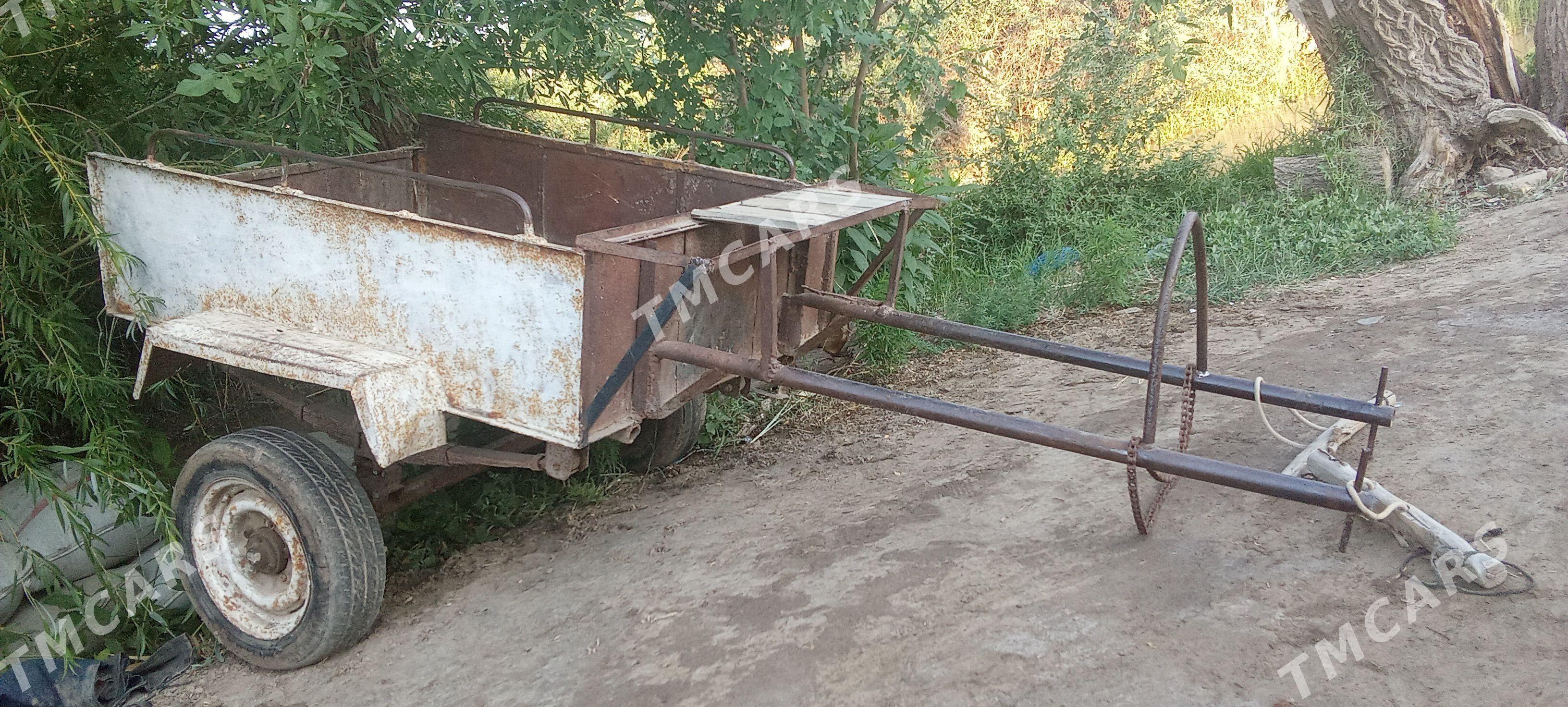 esek bilen arawa - Boldumsaz - img 2