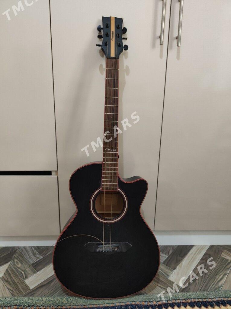 Gitara akustika ylalaşyk bar - Saýat - img 3