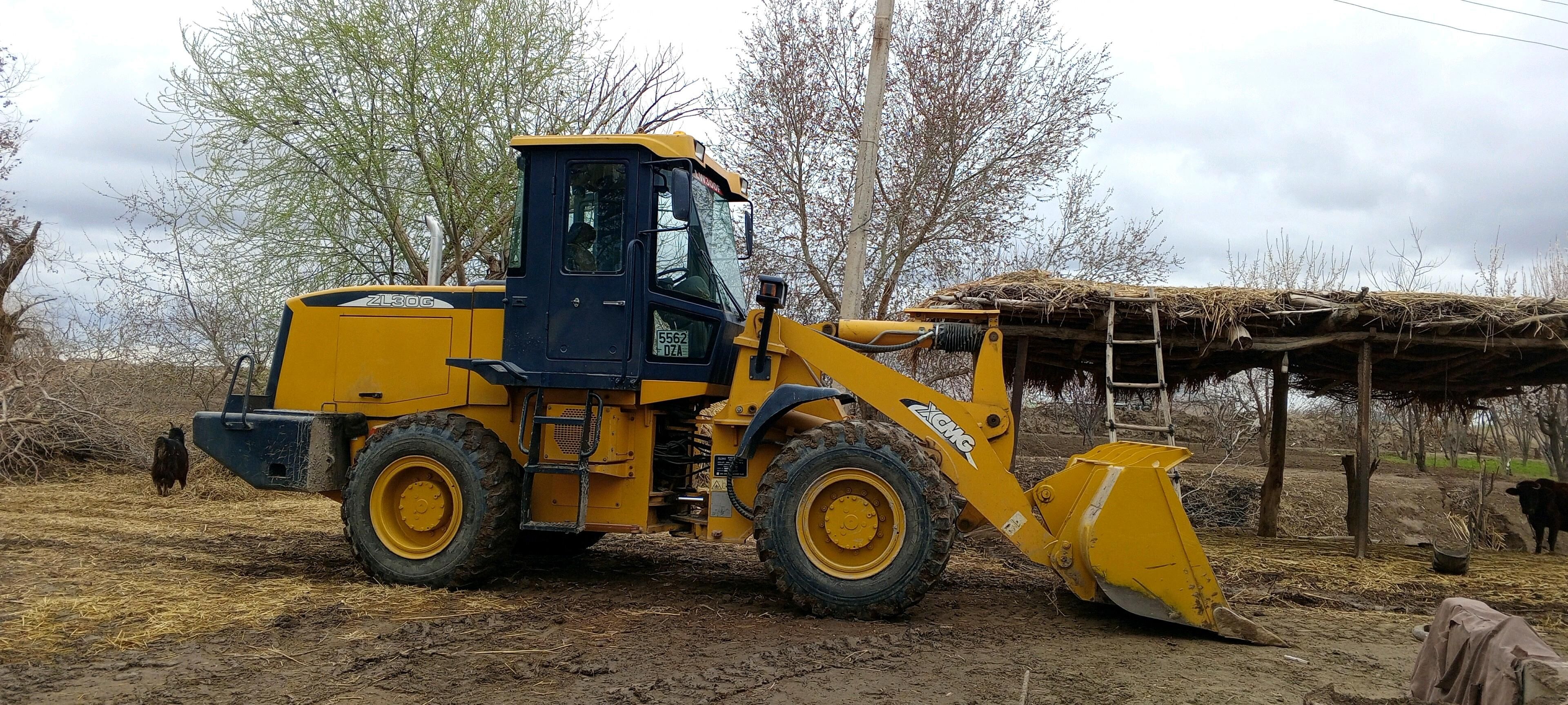 XCMG LW300F 2013 - 500 000 TMT - Гурбансолтан Едже - img 3