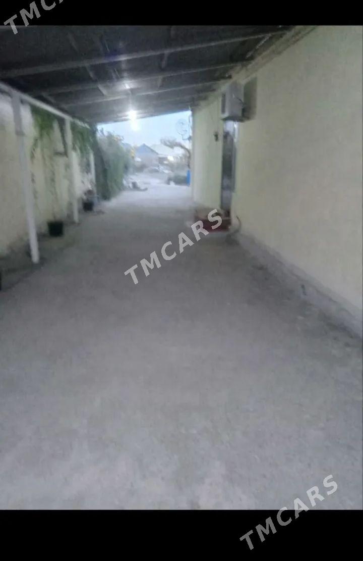 bagyr - Багир - img 3
