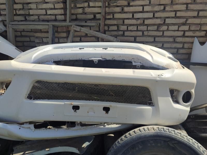 Hilux 1 000 TMT - Mary - img 2