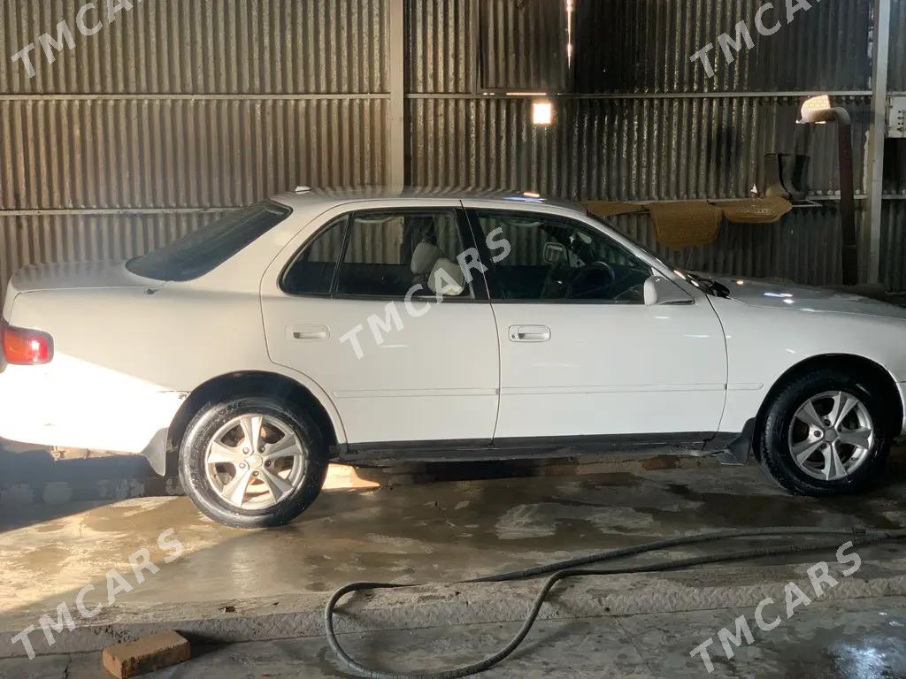 Toyota Camry 1996 - 75 000 TMT - Sakarçäge - img 3
