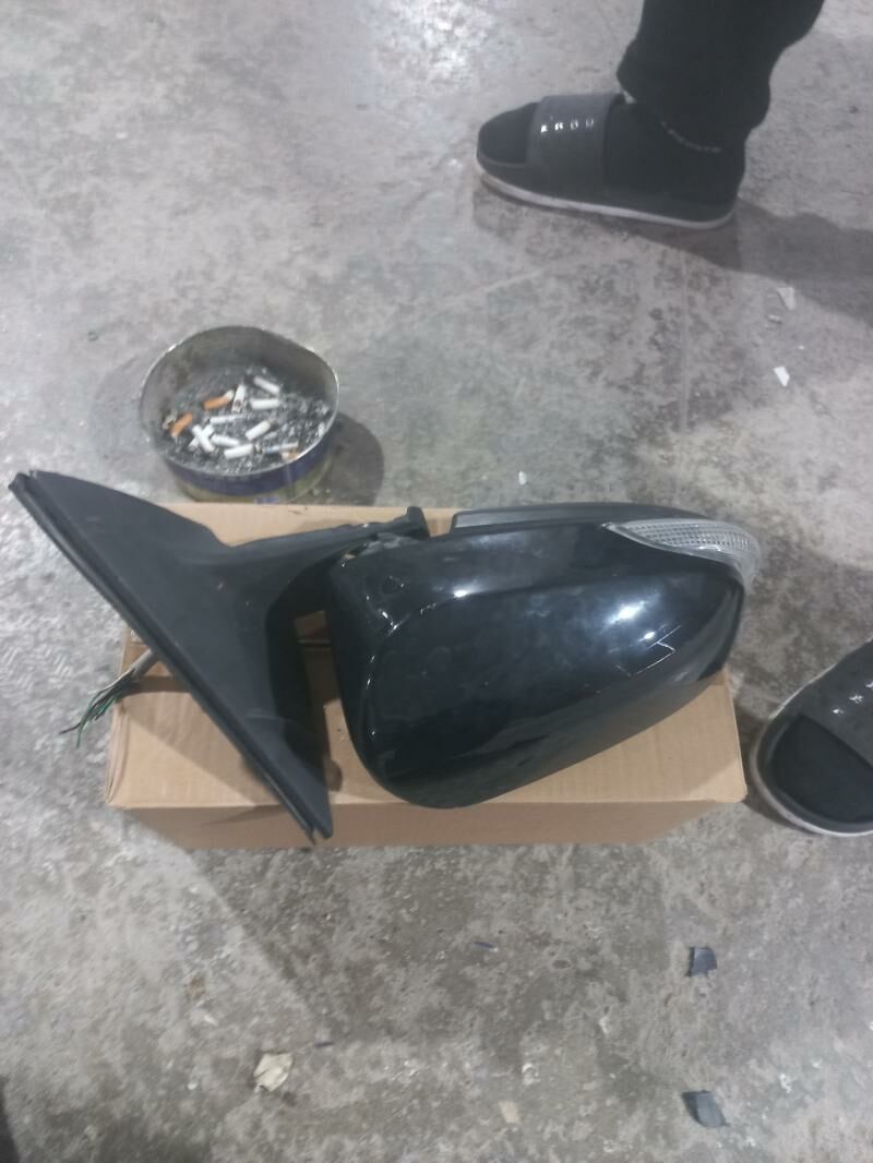 palta kemri bakawoy 300 TMT - Bedew - img 2