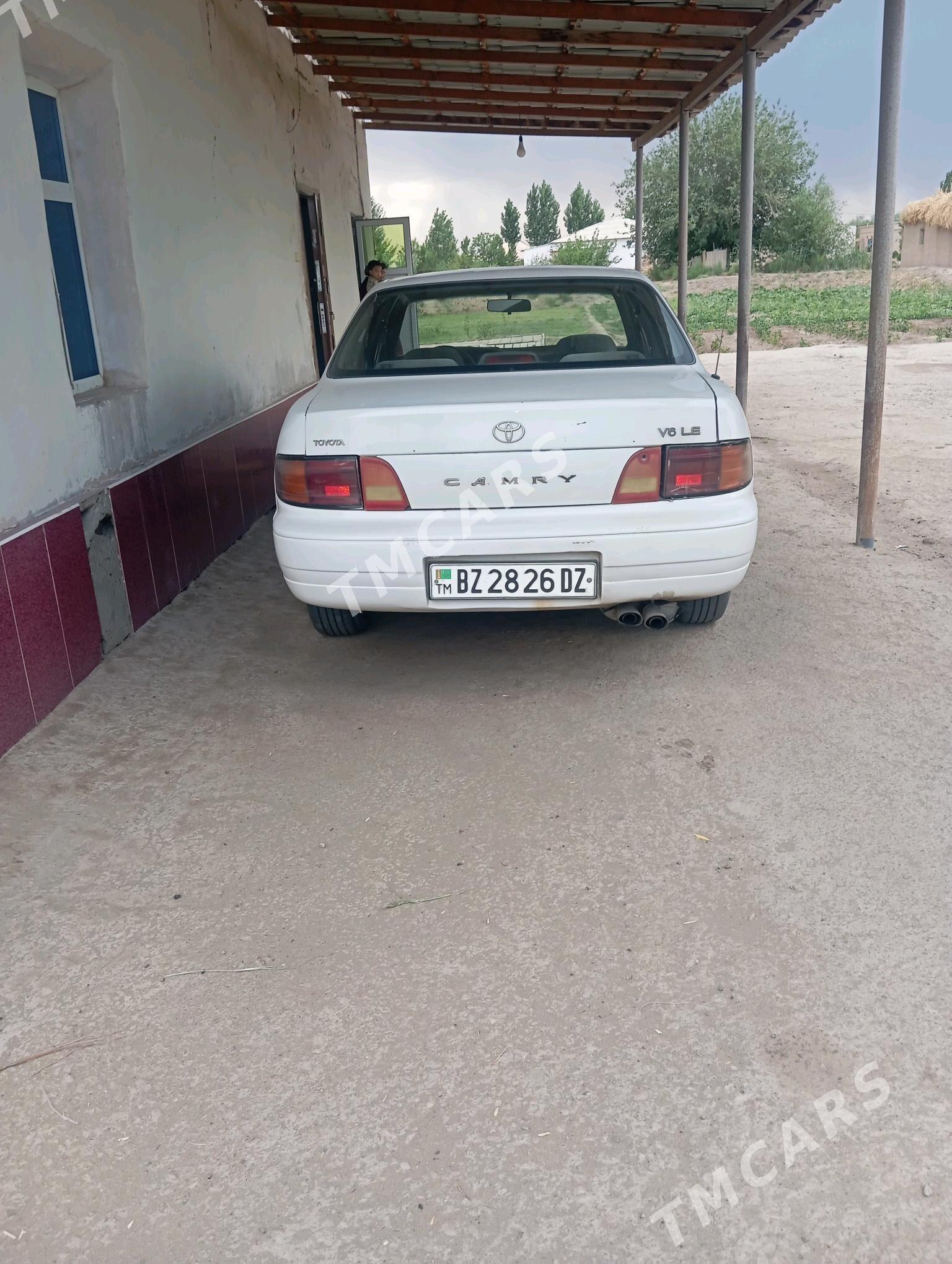 Toyota Camry 1994 - 80 000 TMT - Gubadag - img 3