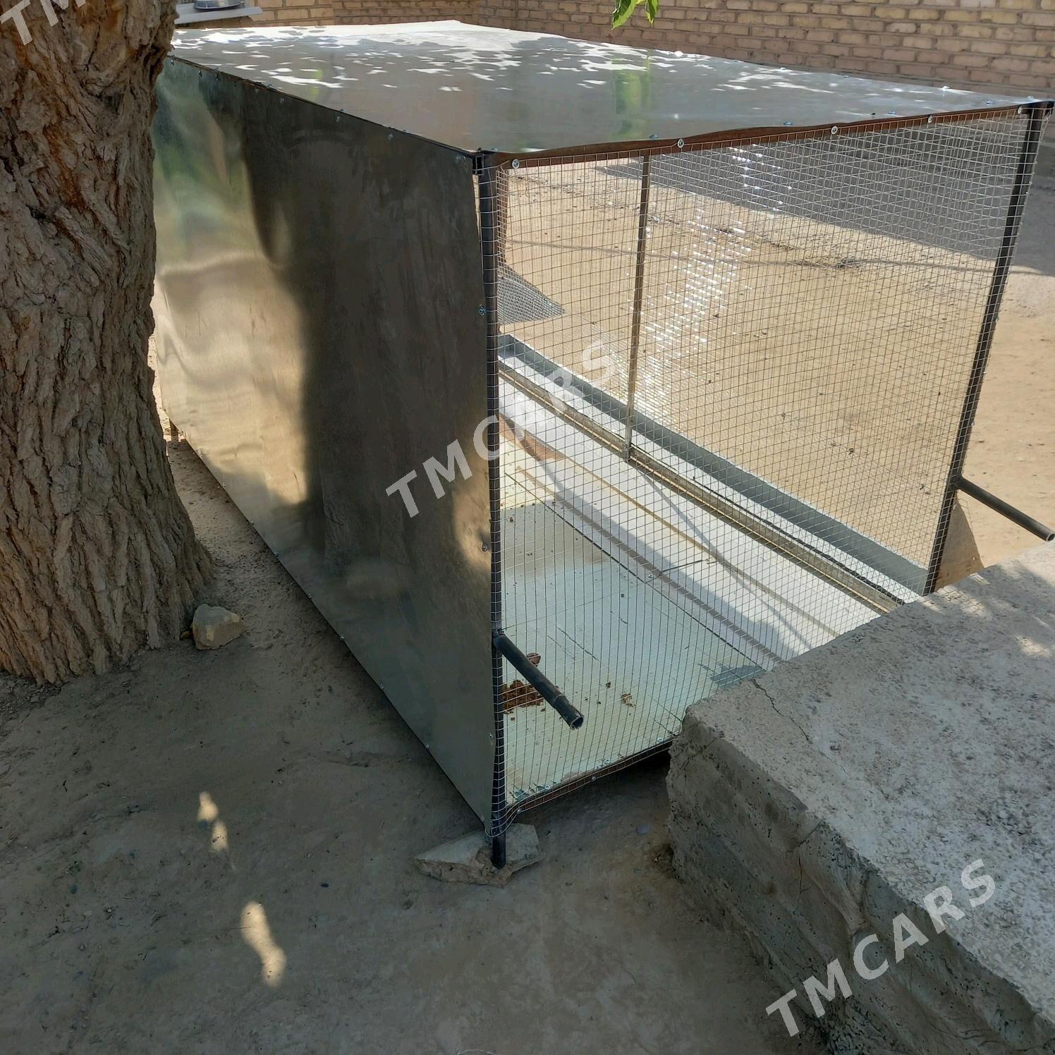 towuk ketek - Мургап - img 3