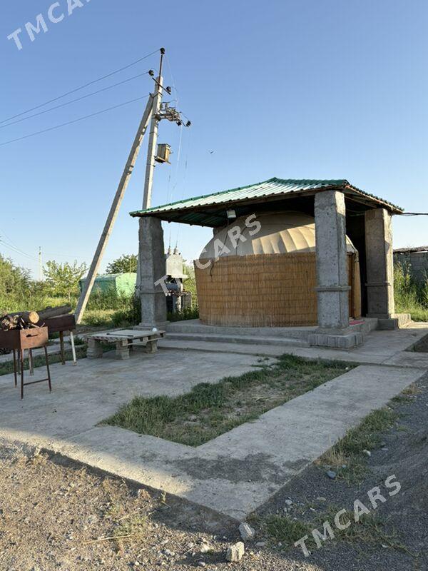 Satlyk ferma - Тязе заман - img 10