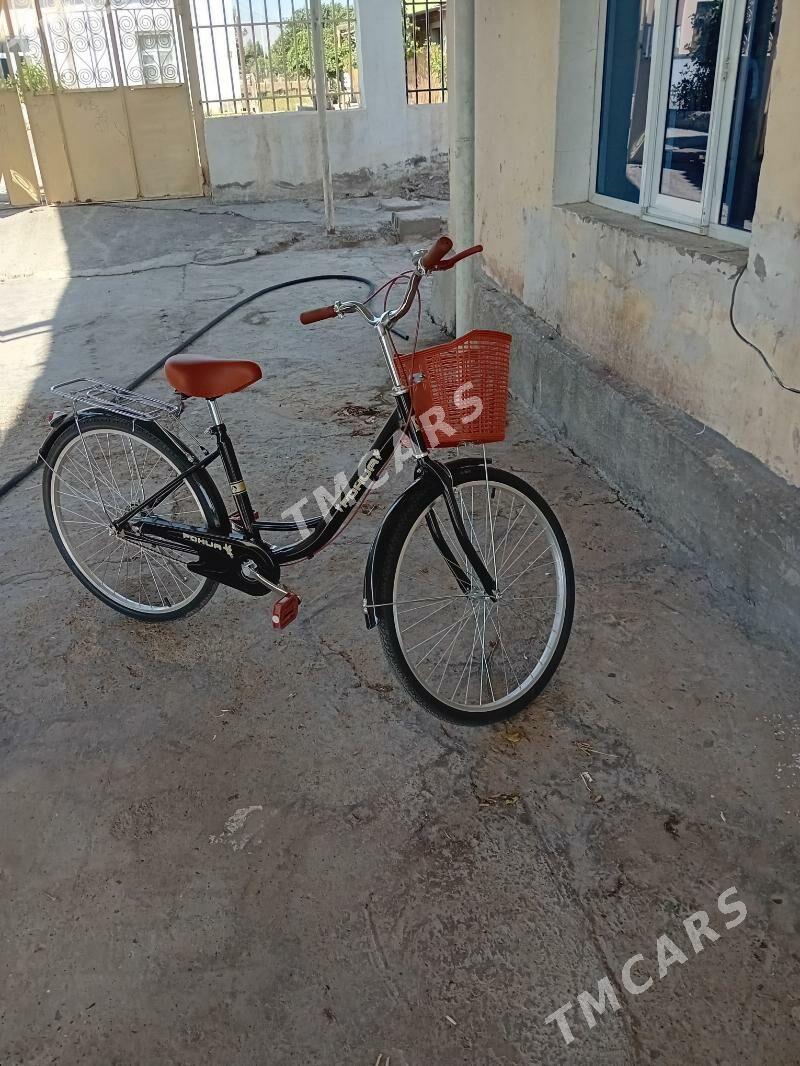 tigir - Büzmeýin - img 2