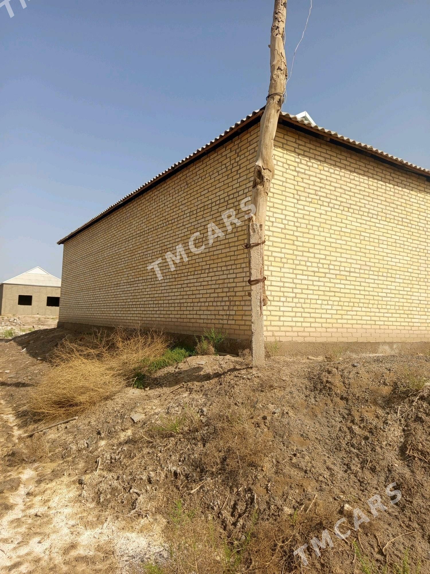 yasayys jay - Туркменгала - img 2