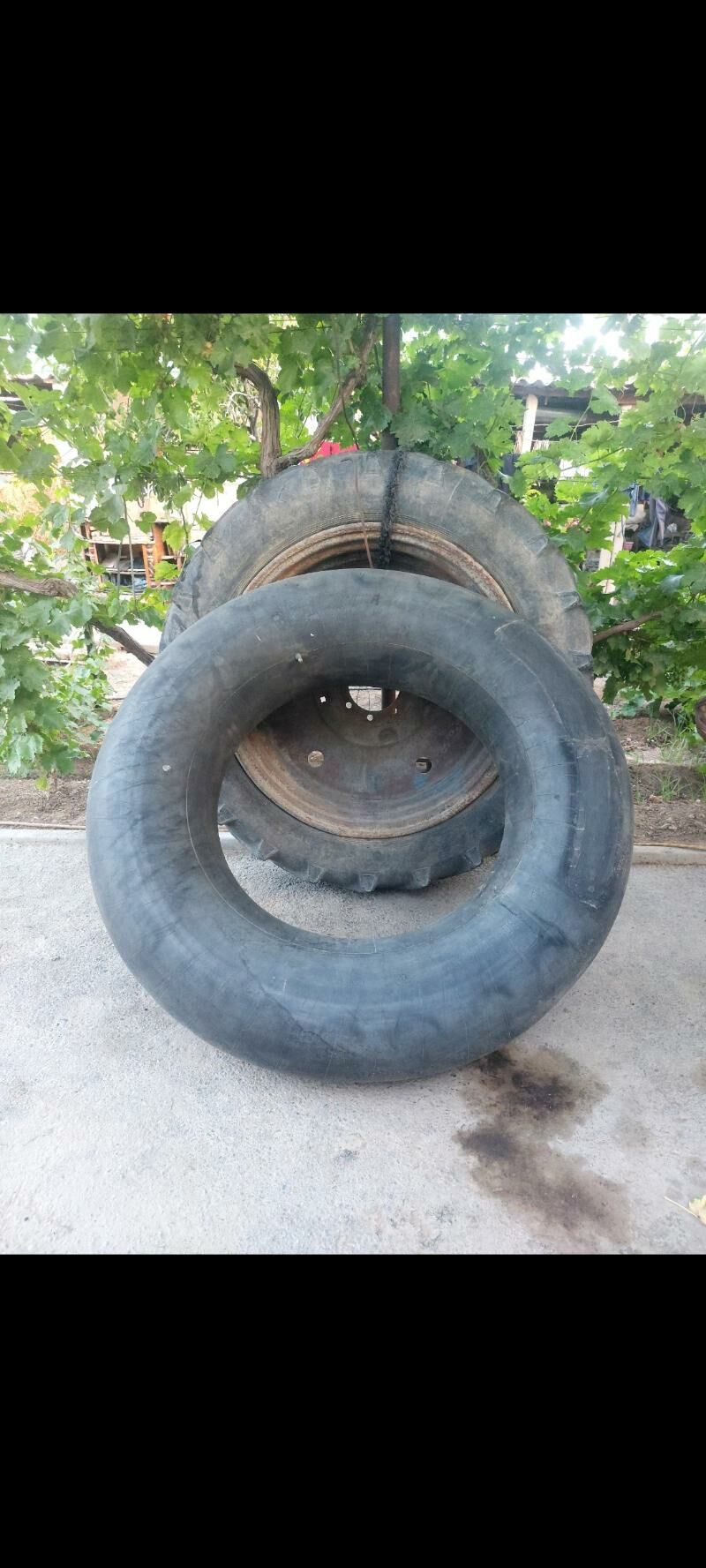 Traktor tekeri we diskasy 111 TMT - Büzmeýin - img 2