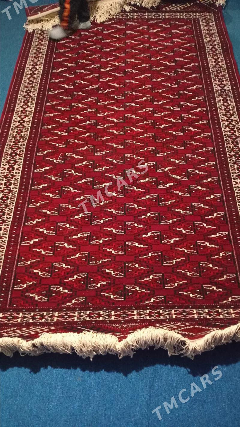 haly - Türkmenbaşy - img 2
