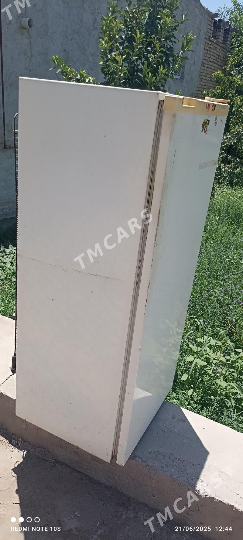 çınar haladelnik - Türkmenabat - img 4