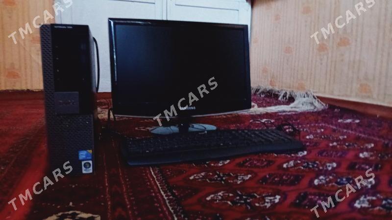 kampÿter - Daşoguz - img 2