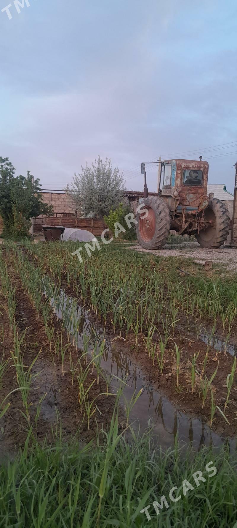 MTZ T-28 1988 - 20 000 TMT - Яшлык - img 2
