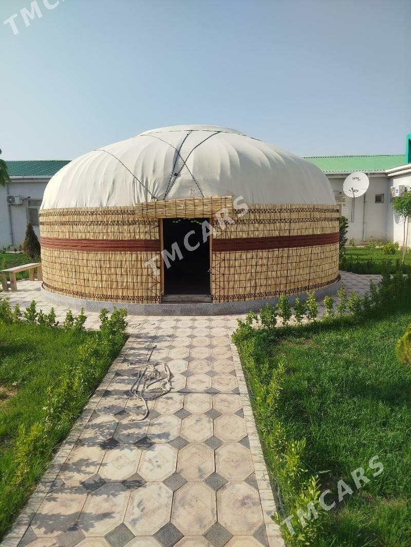 gara oy ak oy - Aşgabat - img 7