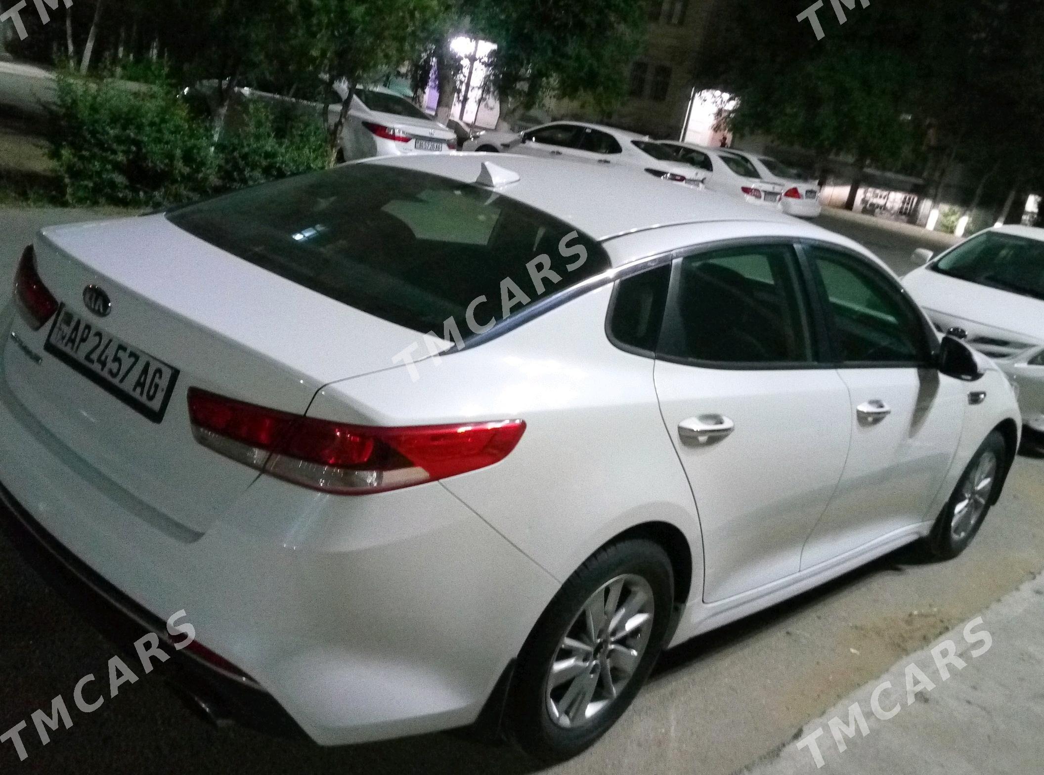 Kia Optima 2016 - 165 000 TMT - 14 этап - Элитки (Улица Совхозная) - img 6