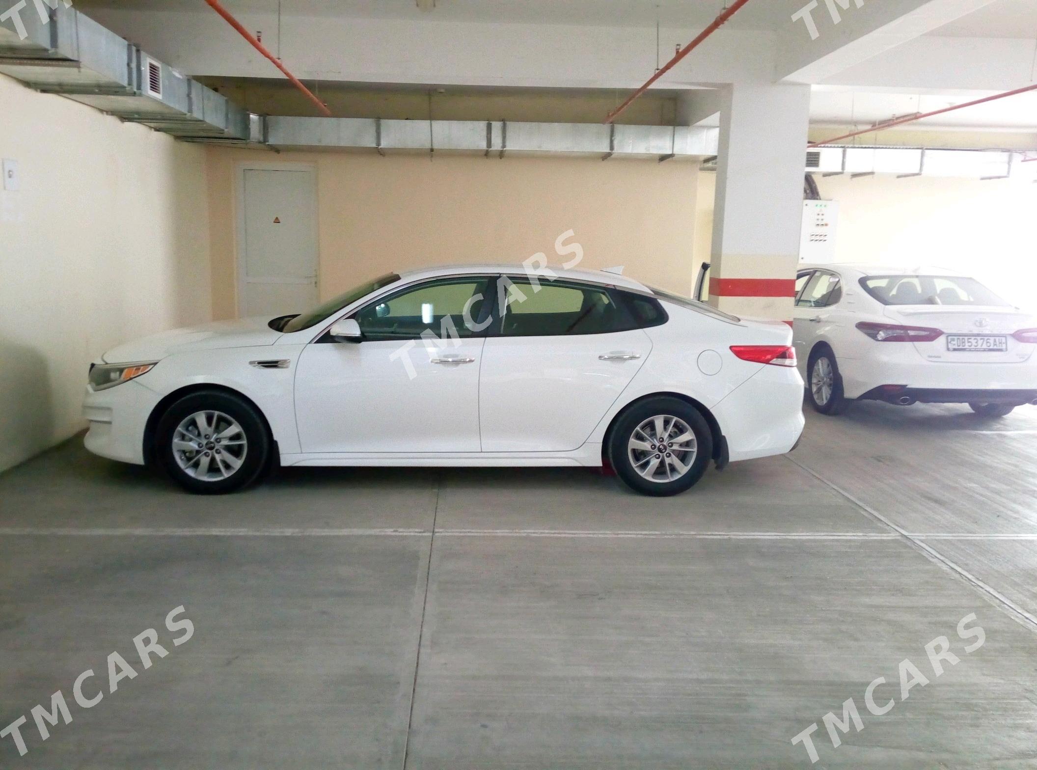 Kia Optima 2016 - 165 000 TMT - 14 этап - Элитки (Улица Совхозная) - img 3