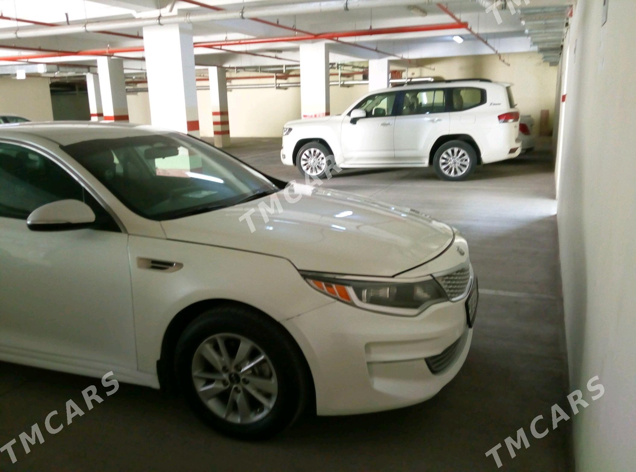 Kia Optima 2016 - 165 000 TMT - 14 этап - Элитки (Улица Совхозная) - img 4