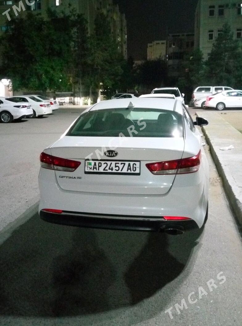 Kia Optima 2016 - 165 000 TMT - 14 этап - Элитки (Улица Совхозная) - img 5