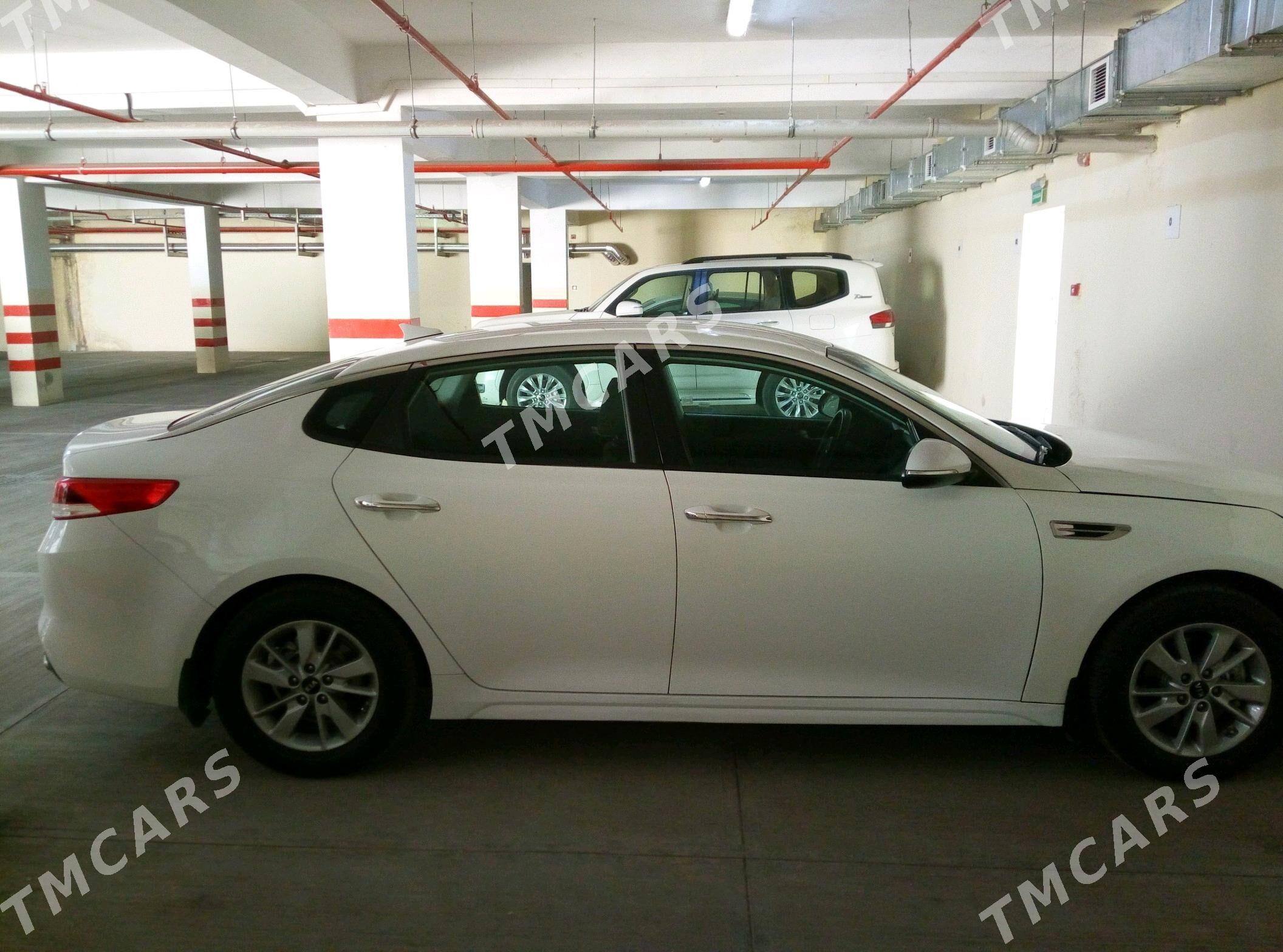 Kia Optima 2016 - 165 000 TMT - 14 этап - Элитки (Улица Совхозная) - img 2
