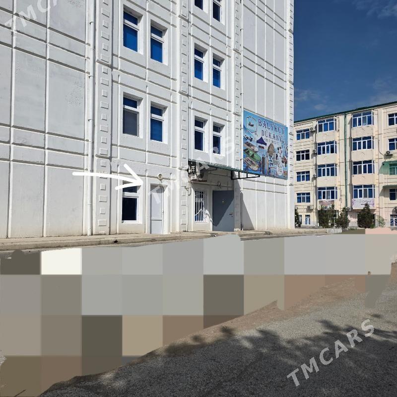 ARENDA - Туркменбаши - img 4